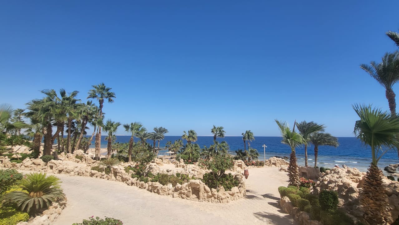 Strand Pickalbatros Citadel Resort