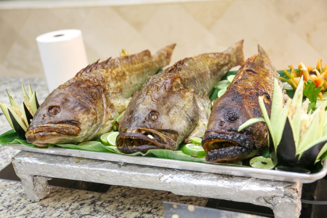 Gastro Hotel Viva Dominicus Beach by Wyndham - All Inclusive Resort