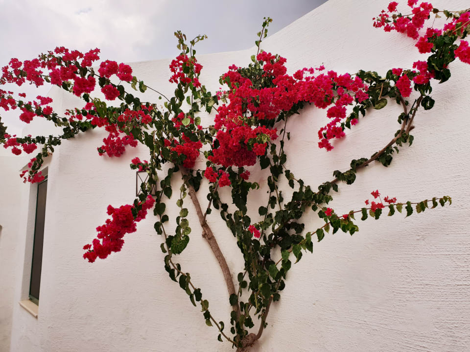 Anlage Creta Maris Resort