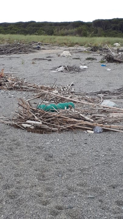 Ausblick TUI MAGIC LIFE Calabria