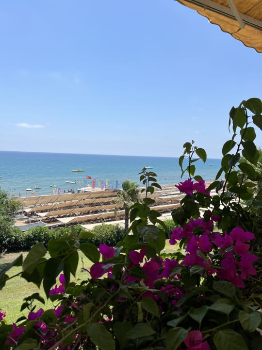 Ausblick Can Garden Resort