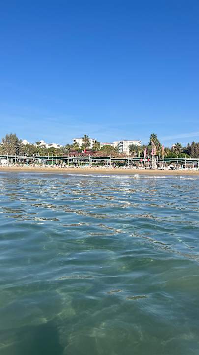 Pool Terrace TERRACE BEACH RESORT