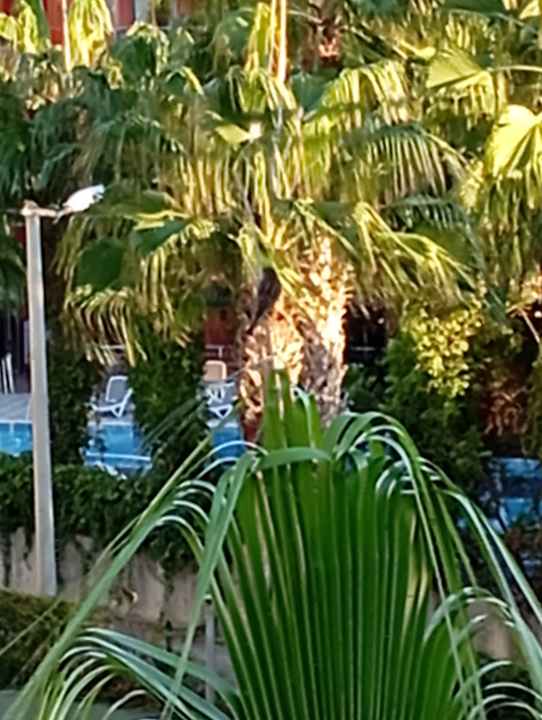 Außenansicht Can Garden Resort