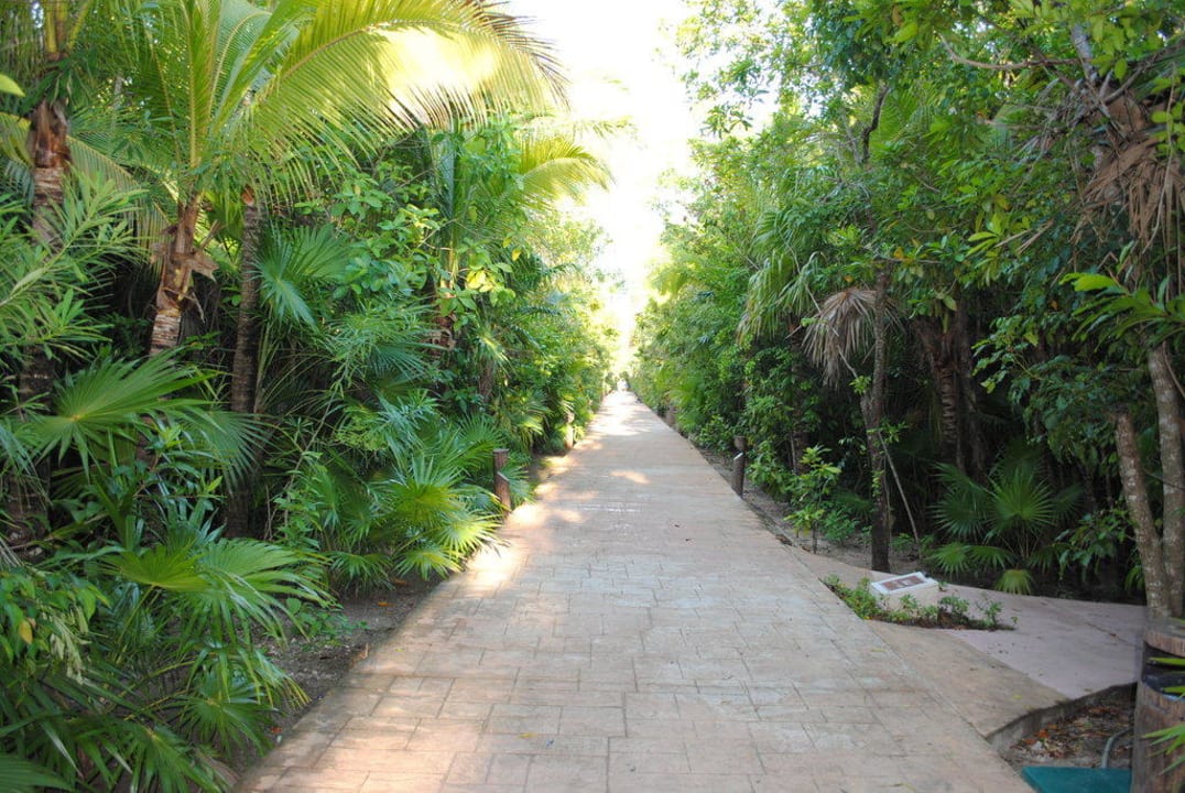 Weg von der Lobby zum Poolbereich Catalonia Playa Maroma