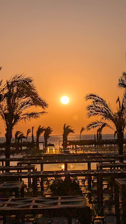 Strand JAZ Elite Asteria