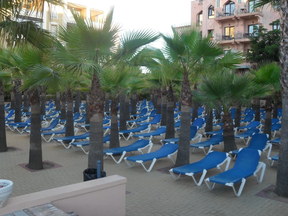 Die Palmenliegewiese Playacanela Hotel