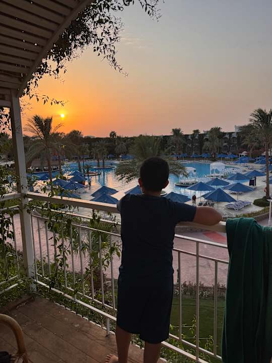 Ausblick Desert Rose