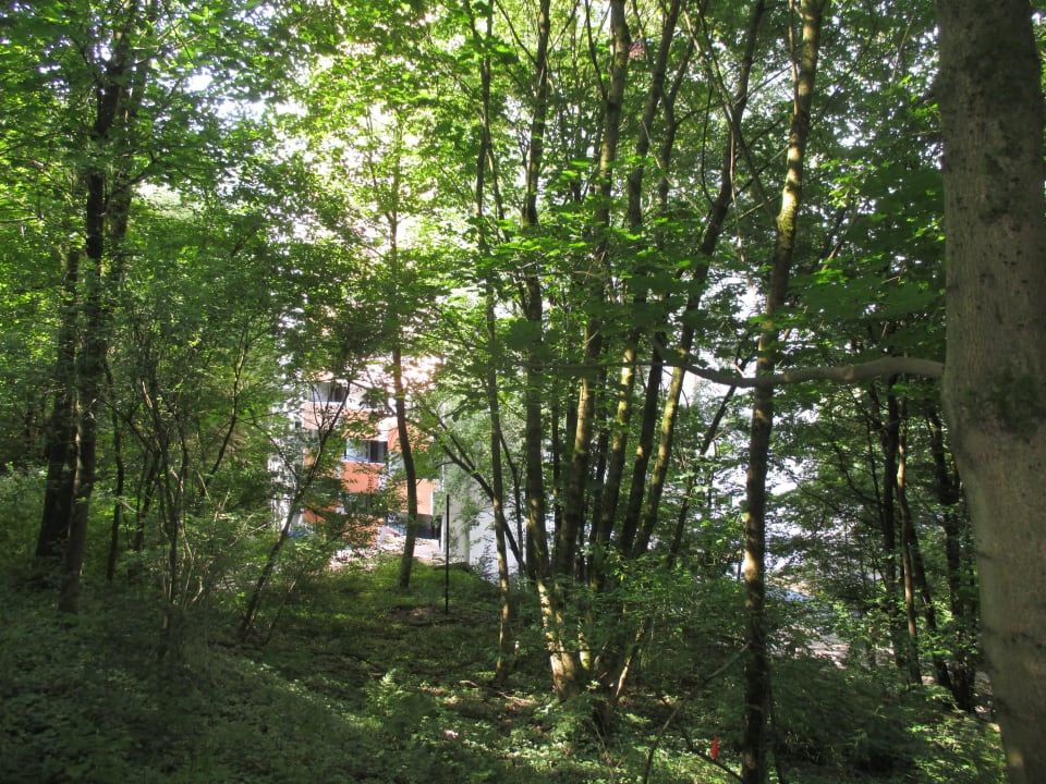 Seitlicher Blick auf's Hotel Panoramic - Ihr Apartmenthotel im Harz