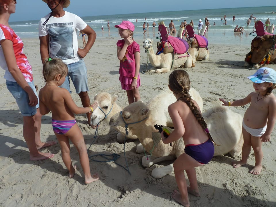 Plage la paillotte Hotel Djerba Les Dunes