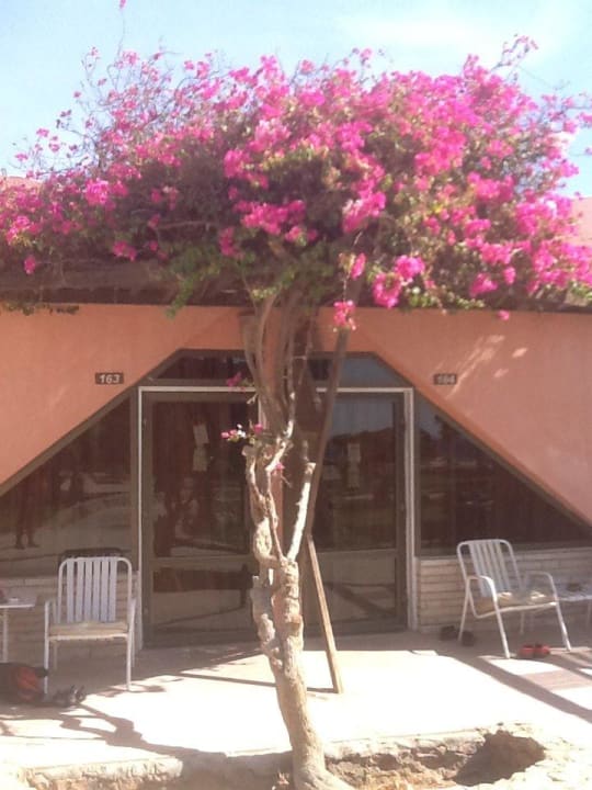Sol Y Mar Hotel Paradise Beach Eagles Paradise Abu Soma