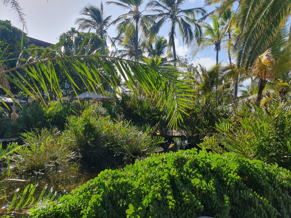 Gartenanlage Bahari Beach Hotel