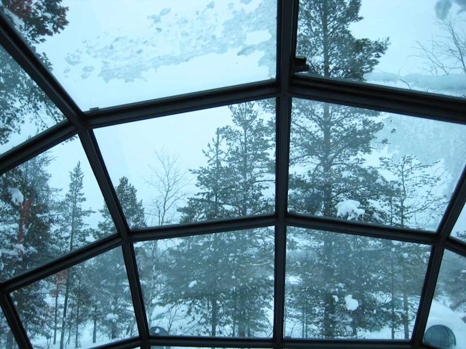Ausblick aus dem Bett  Hotel Igloo Village Kakslauttanen