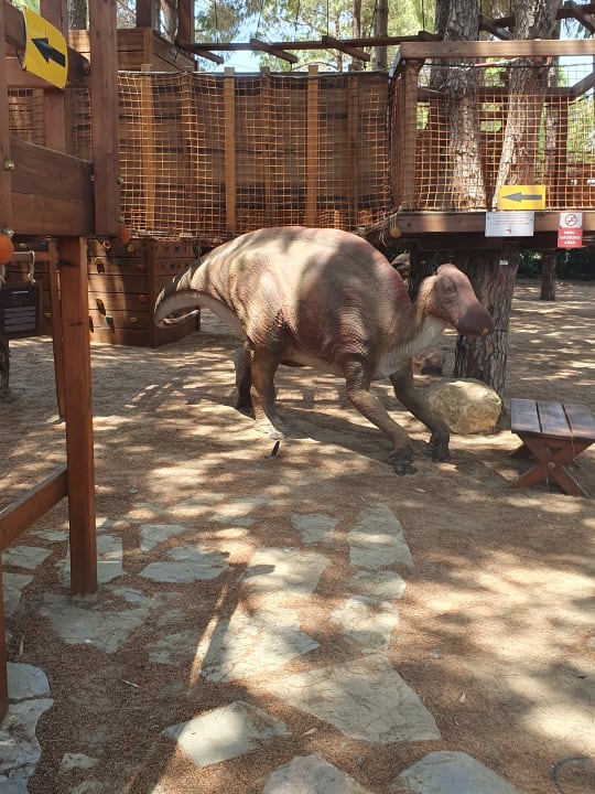 Sport & Freizeit Maxx Royal Belek Golf Resort