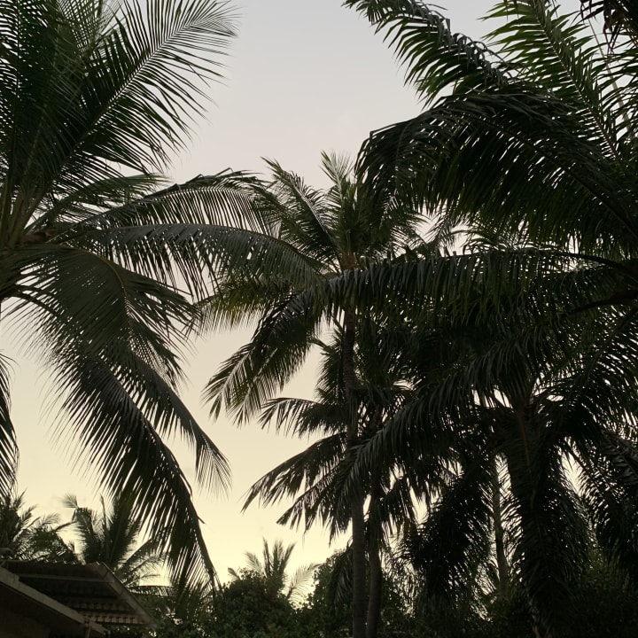 Zimmer Segara Village Hotel