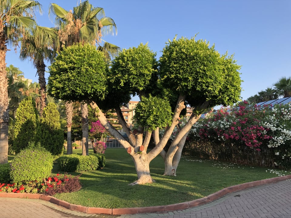 Garten Hotel Terrace Beach Resort