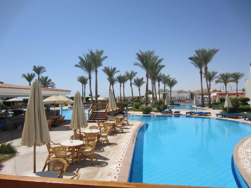 Pool mit Bar Siva Sharm