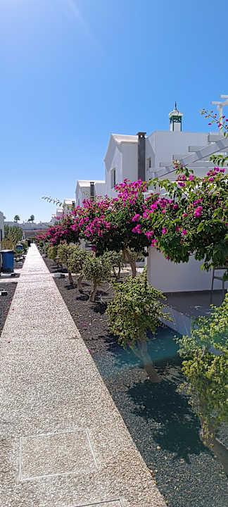 Gartenanlage Hotel Hyde Park Lane