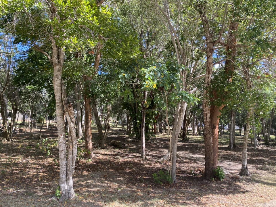 Gartenanlage Paradisus Rio de Oro Resort & Spa - Adults only