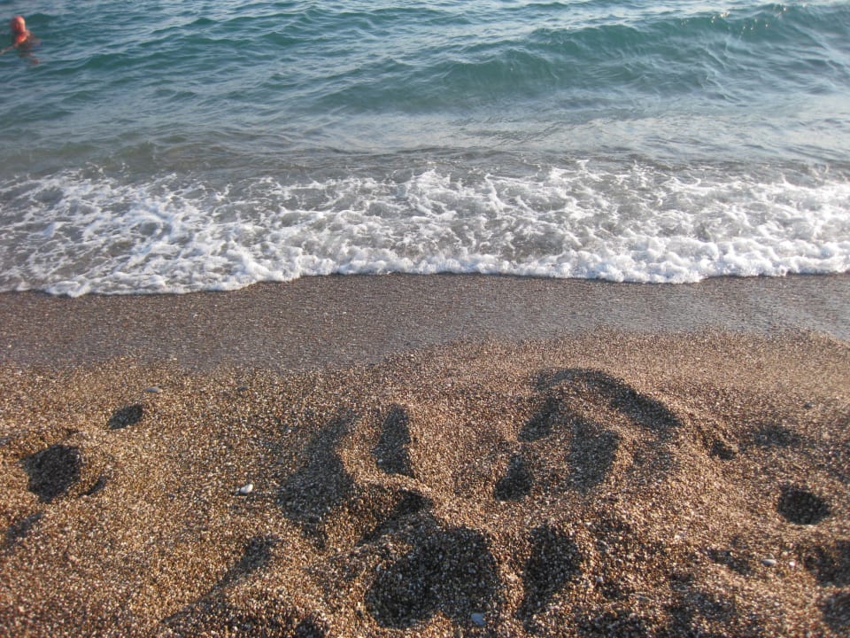 Kiesstrand Adora Calma Beach Hotel