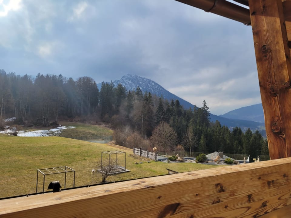 Ausblick Alm- & Wellnesshotel Alpenhof