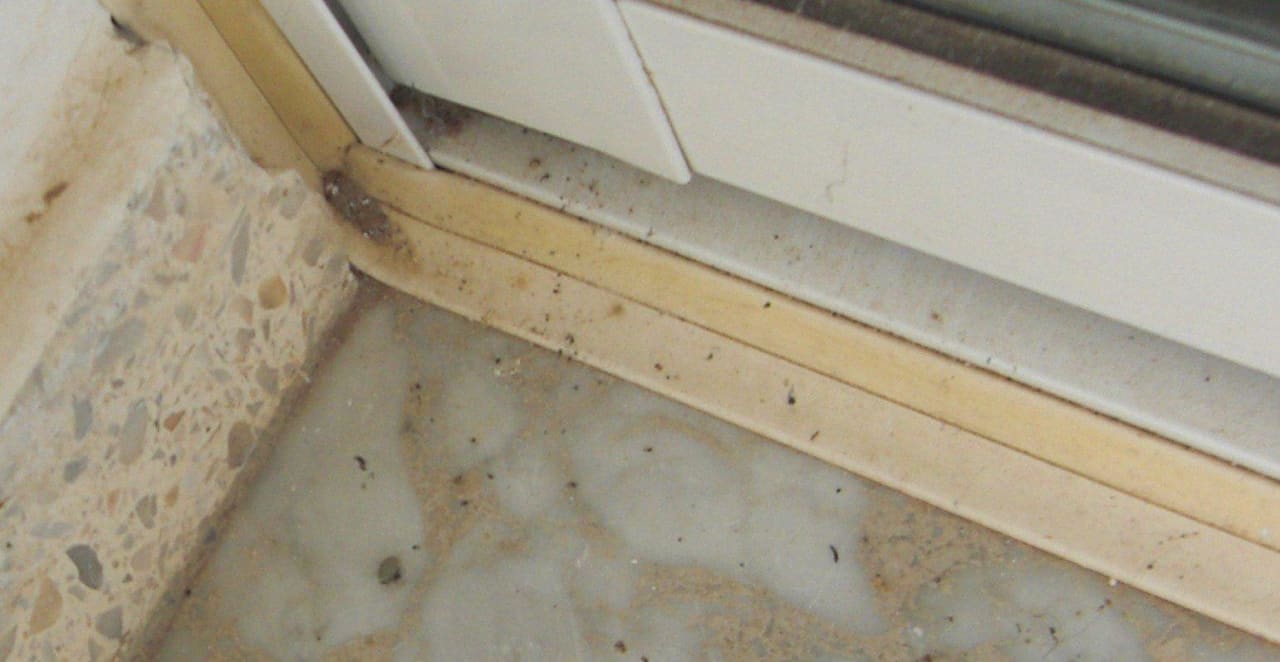 Nie wieder Hotel El Mouradi Port El Kantaoui