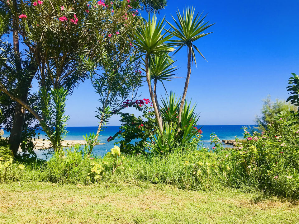 Außenansicht Crystal Springs Beach Hotel