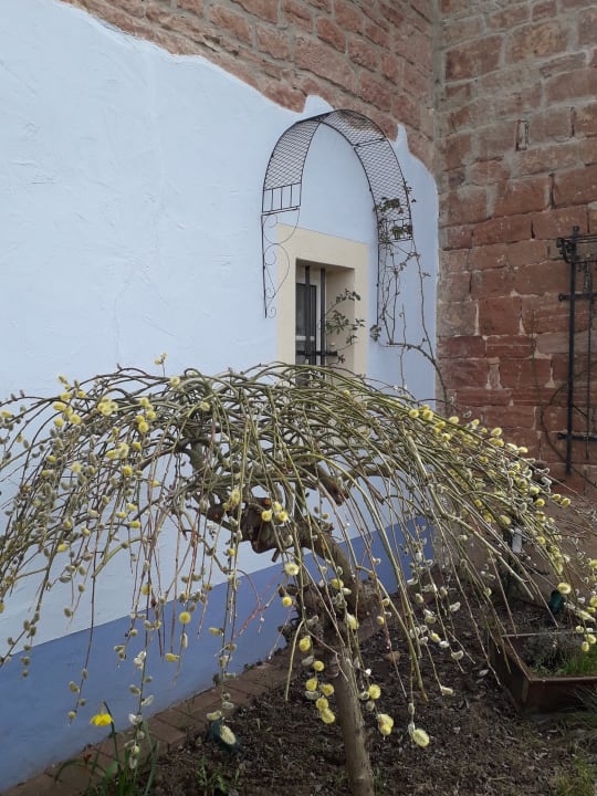 Gartenanlage Gästehaus No. 31 im Rosengarten