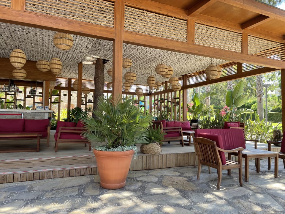 Gastro Arum Barut Collection