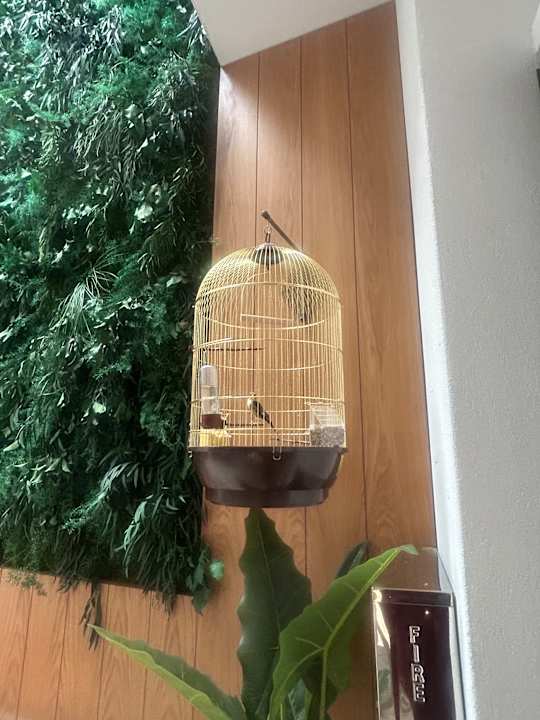 Lobby Sirines Luxury Hotel & Spa