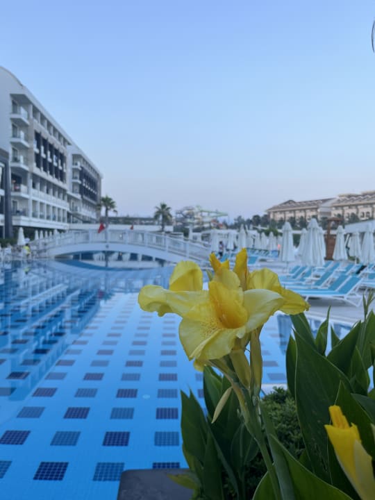 Pool Diamond De Luxe Hotel & Spa