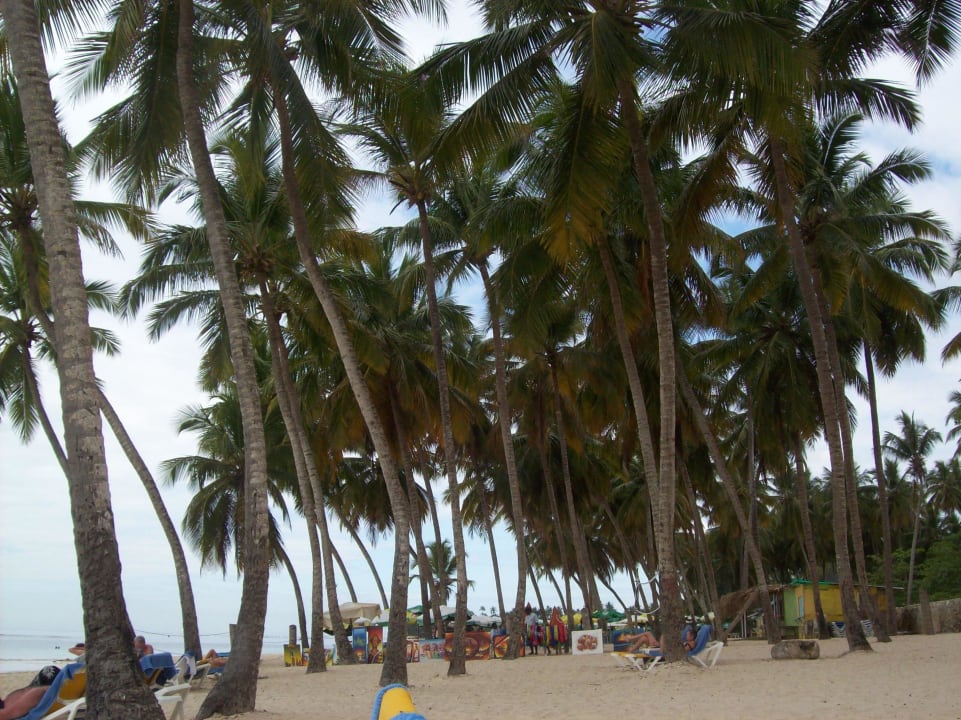 Traumhaft Playa Esmeralda Beach Resort