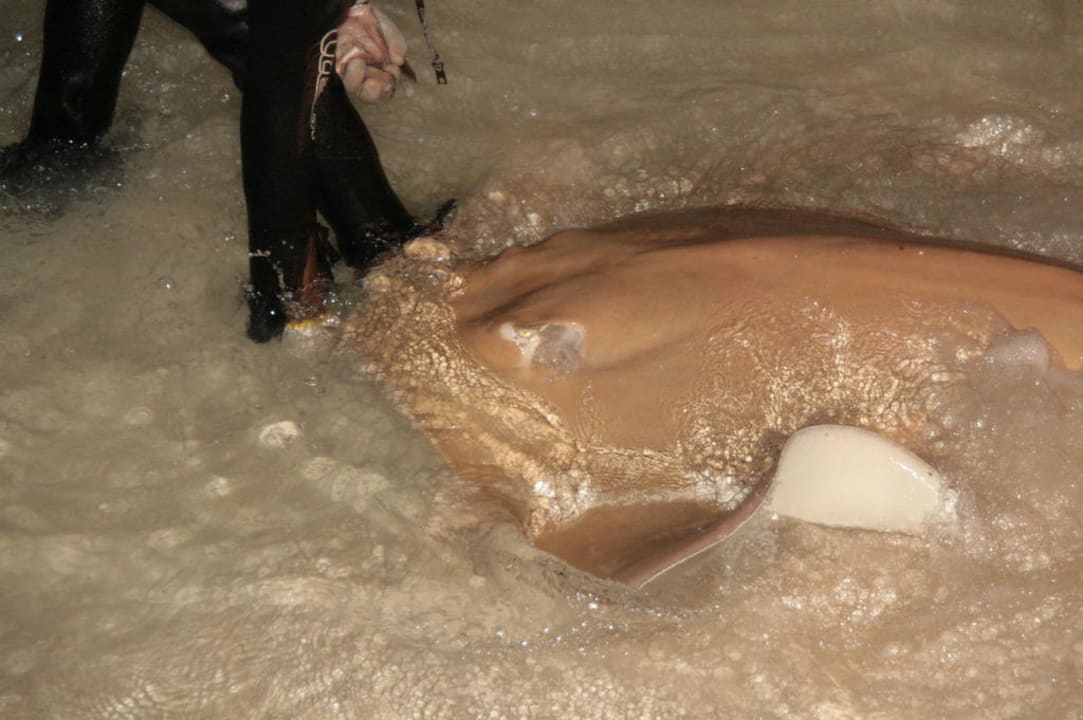 Am Strand Kuramathi Maldives