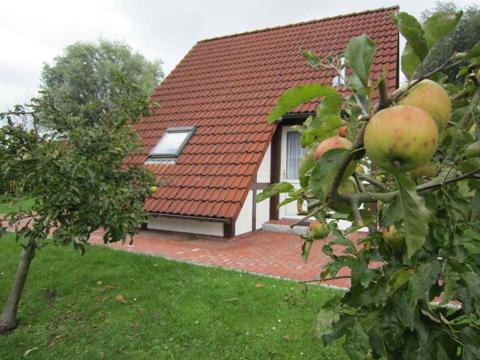 Ferienhaus Scout 60 Feriendorf Altes Land