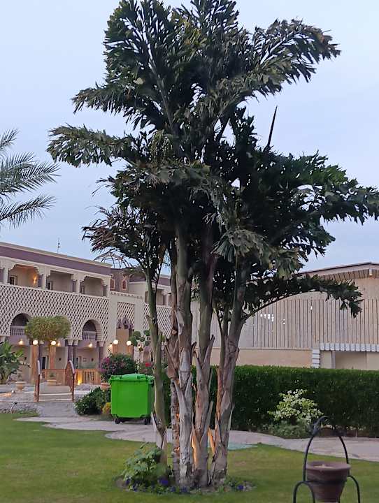 Gartenanlage Sentido Mamlouk Palace Resort