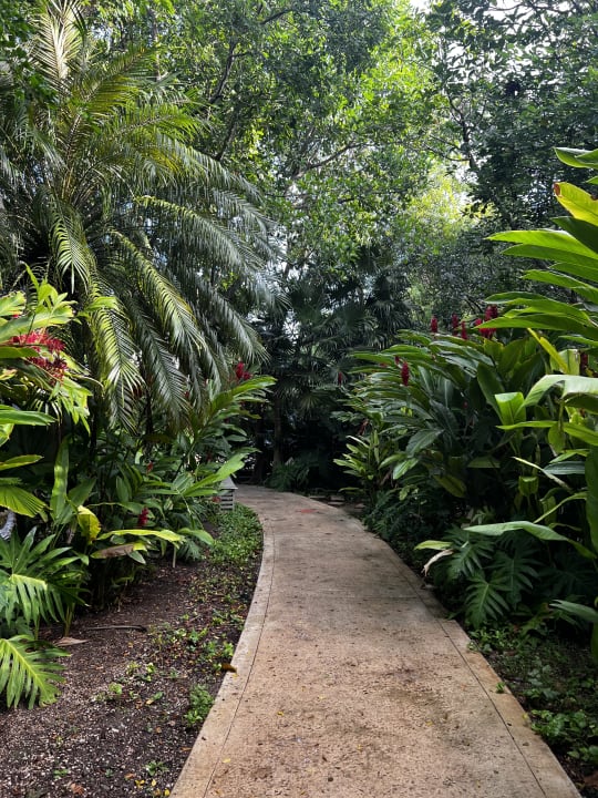 Gartenanlage Iberostar Waves Paraiso Beach