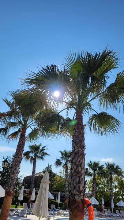 Gartenanlage Dream World Aqua Hotel