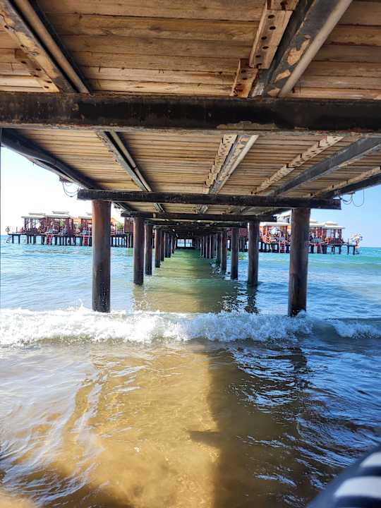 Strand Royal Atlantis Icon