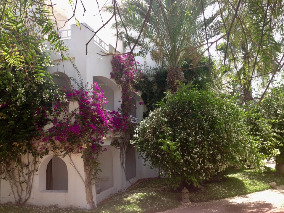 Außenansicht Hotel Djerba Resort