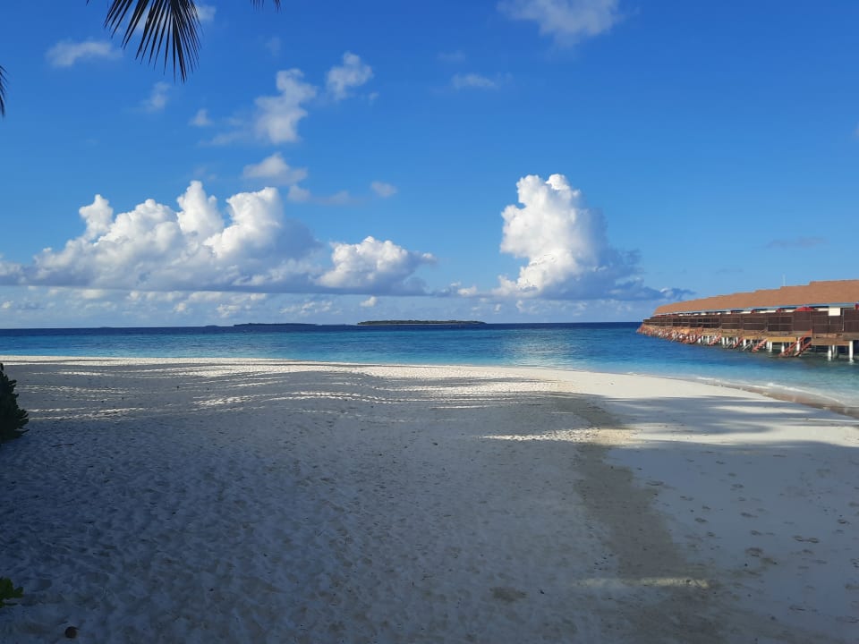 Strand Reethi Faru Resort
