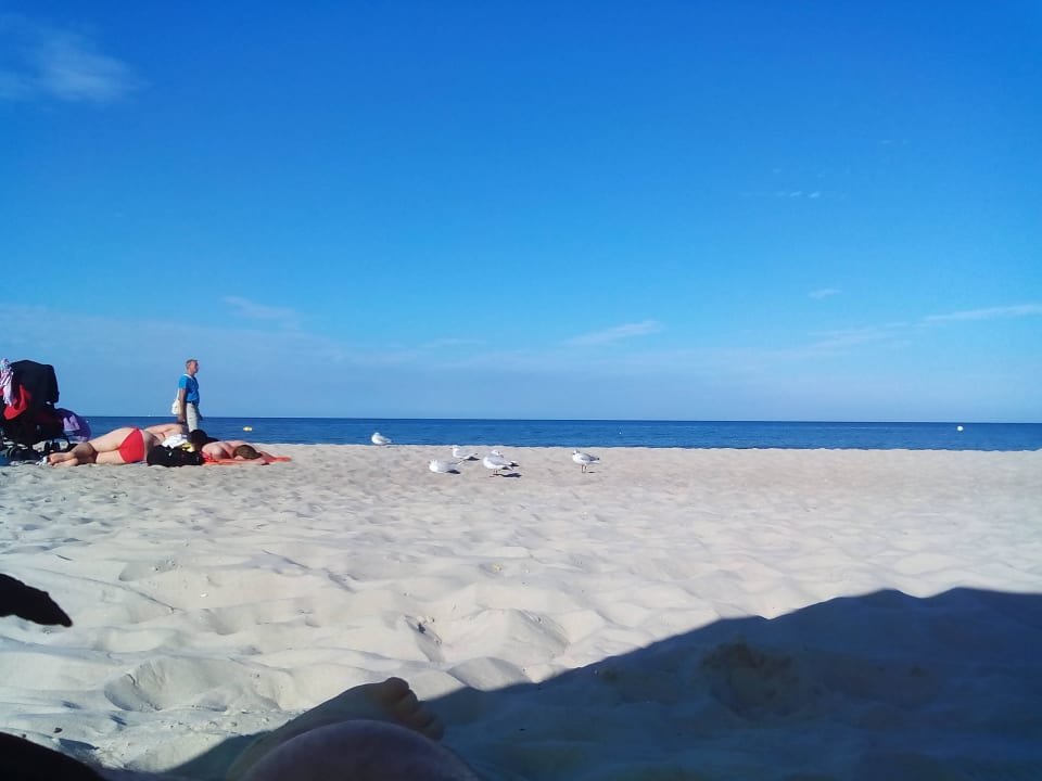 Weitläufig,sauber,schön. IFA Rügen Hotel & Ferienpark