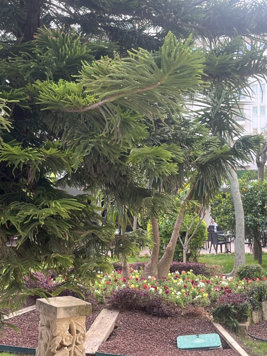 Gartenanlage Hotel Delphin Imperial