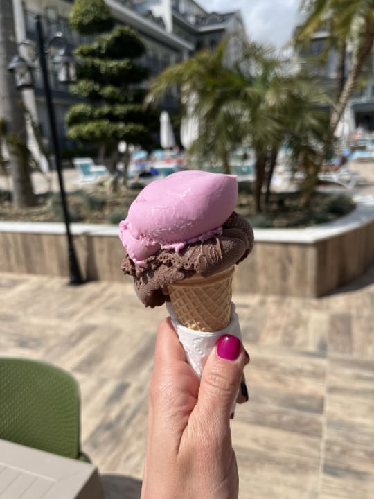 Gartenanlage Dream World Palace Hotel