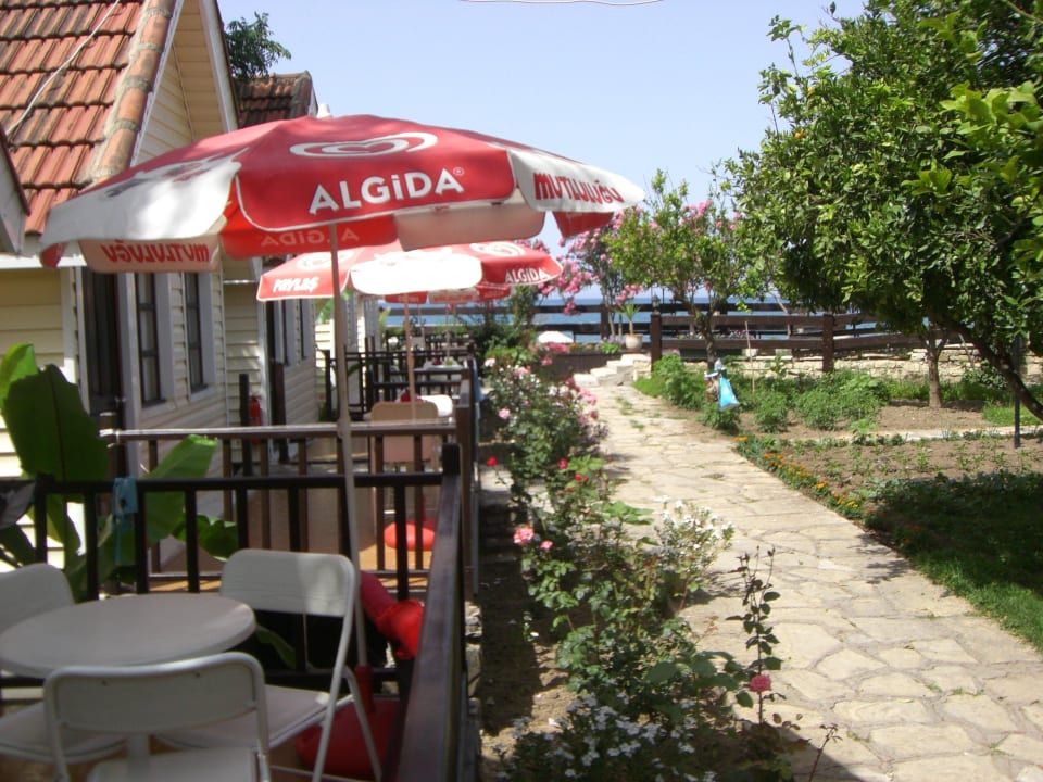 Vom Bungalow aus sieht man das Meer Clover Magic Nova Beach