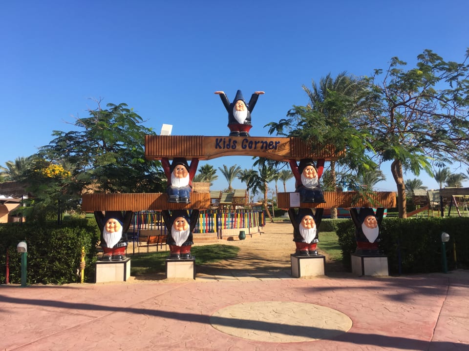 Sport & Freizeit Desert Rose