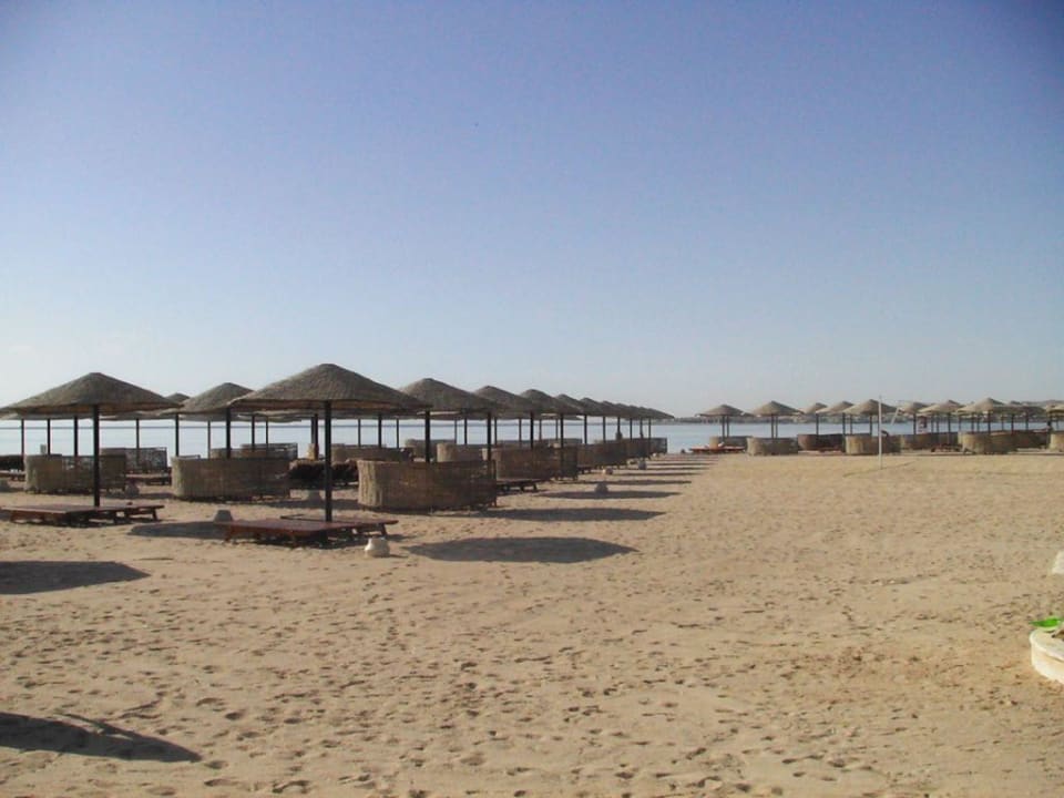Strand am Morgen Grand Makadi