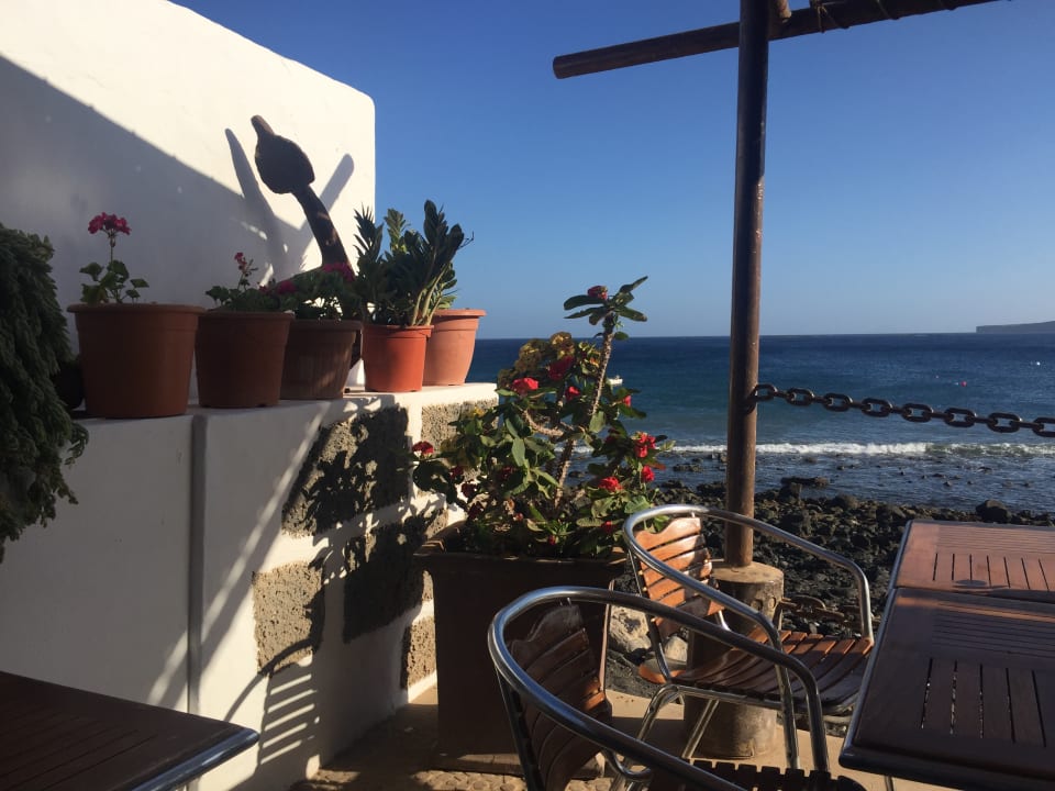 Gastro Relaxia Olivina