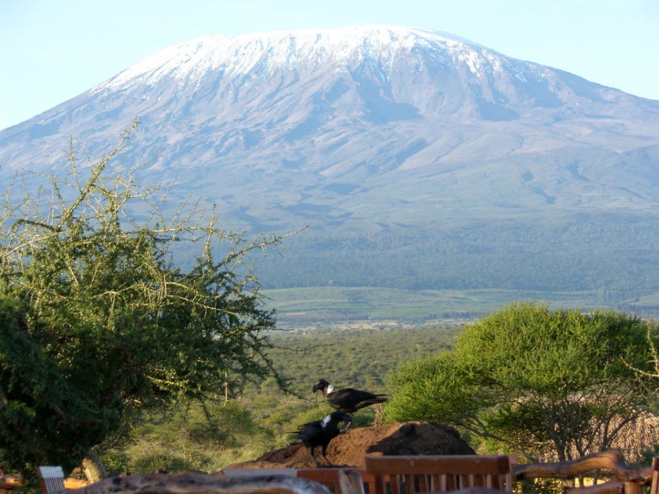 Terrassenausblick Satao Elerai Camp