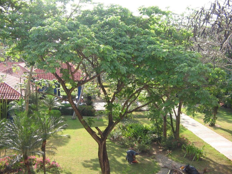 Blick vom Balkon BelleVue Dominican Bay