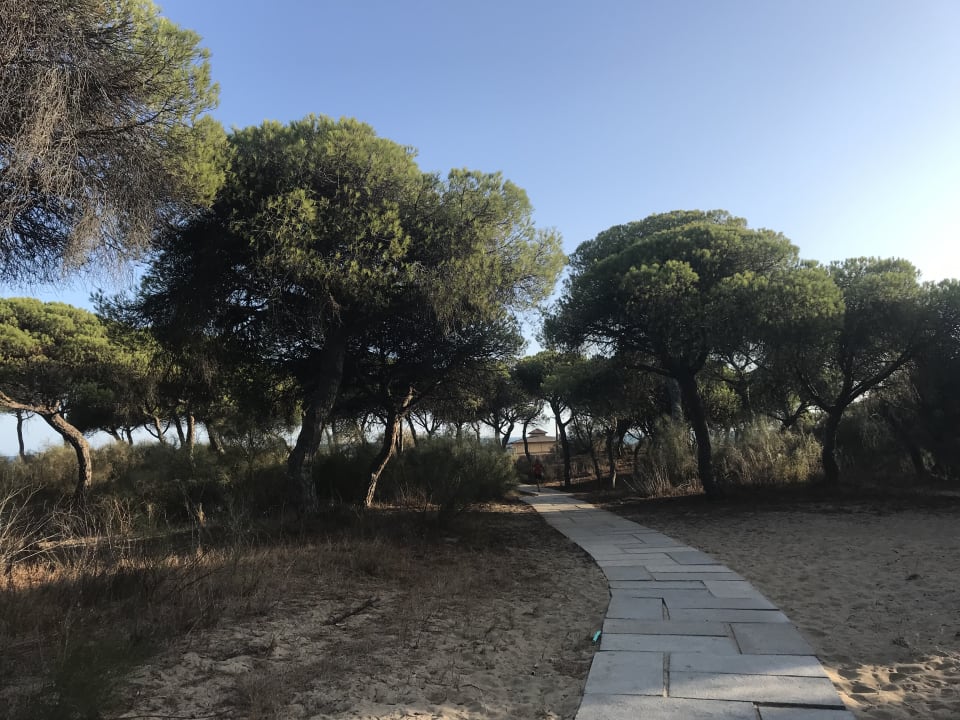 Strand TUI BLUE Isla Cristina Palace