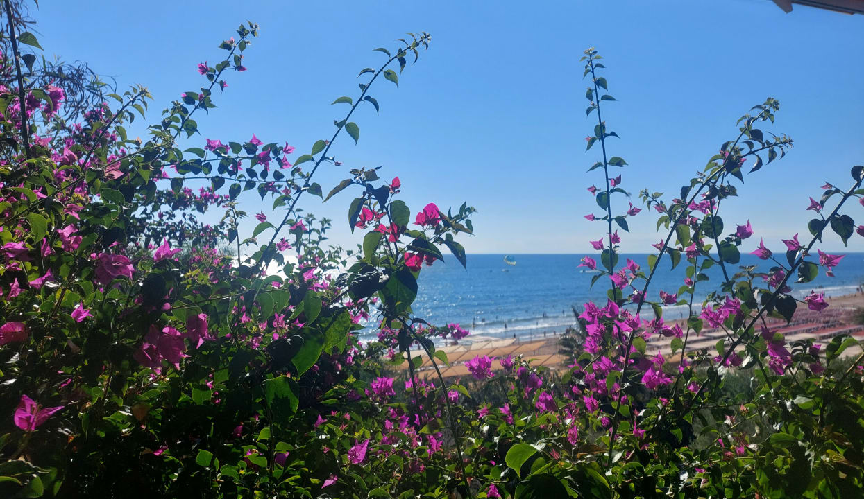 Ausblick Can Garden Resort